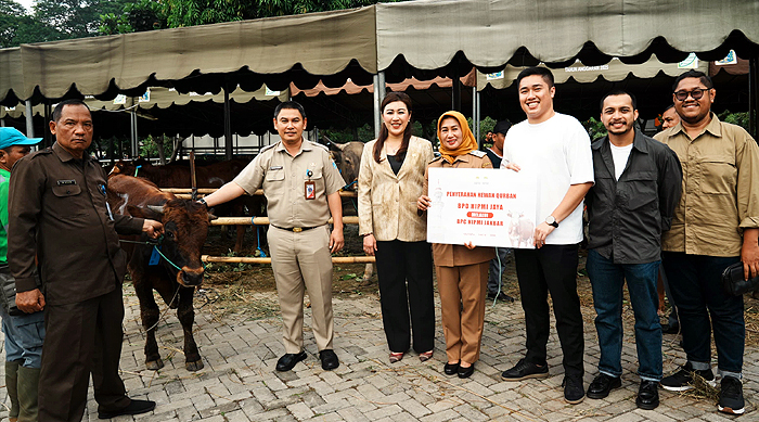 HIPMI Jakbar Serahkan 8 Sapi Kurban ke Pemkot, Perkuat Sinergi Sosial dan Ekonomi