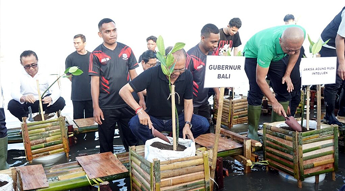 Kejar Target Ruang Hijau 35 Persen, Gubernur dan Kajati Bali Tanam Mangrove Bareng Jamintel Kejagung
