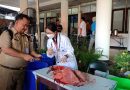 146 Petugas Turun ke 121 Lokasi, KPKP Jakbar Pastikan Daging Kurban Bebas Penyakit