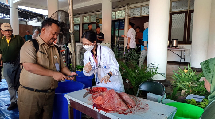 146 Petugas Turun ke 121 Lokasi, KPKP Jakbar Pastikan Daging Kurban Bebas Penyakit