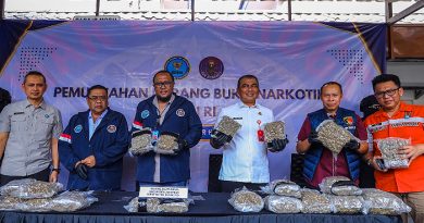 BNN Sita 14,6 Kg Ganja dari WN China di Soekarno-Hatta