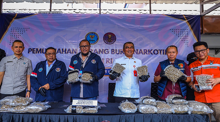 BNN Sita 14,6 Kg Ganja dari WN China di Soekarno-Hatta