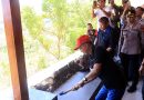Gubernur Koster Pimpin Langsung Penertiban Vila di Hutan Desa Pejarakan Buleleng